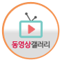 동영상갤러리